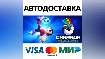 Charrua Soccer * STEAM RU АВТО