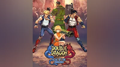 Double Dragon Gaiden: Rise of the Dragons (Россия, Украина и СНГ)