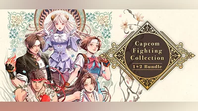 Capcom Fighting Collection 1 + 2 Bundle (Steam key)