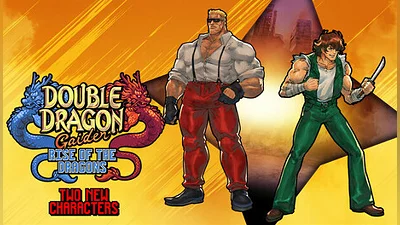 Double Dragon Gaiden: Rise of the Dragons