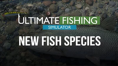 Ultimate Fishing Simulator - New Fish Species (Steam)