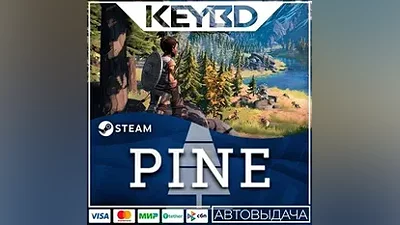 Pine · Steam Gift АВТОДОСТАВКА