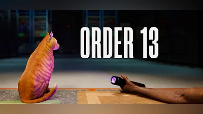 ORDER 13