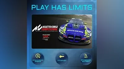 Assetto Corsa Competizione КЛЮЧ STEAM Global + РФ