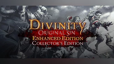 Divinity: Original Sin - Enhanced Edition Collector's Edition