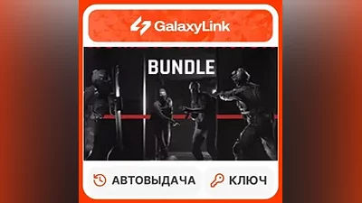 Ready or Not: Home Invasion Bundle - STEAM - СНГ + РФ