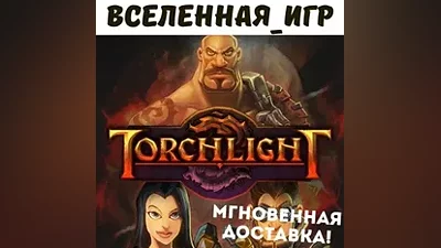 Torchlight (РФ/СНГ/Global) STEAM КЛЮЧ