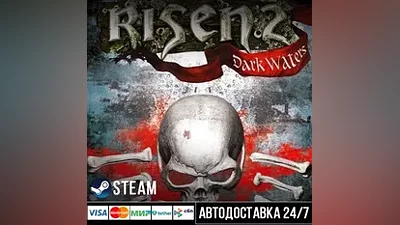 Risen 2: Dark Waters СТИМ Steam Gift