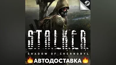 S.T.A.L.K.E.R.: Shadow of Chernobyl - STEAM RU / АВТО