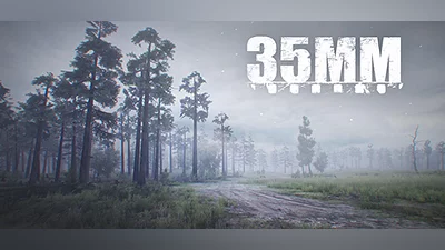 35MM