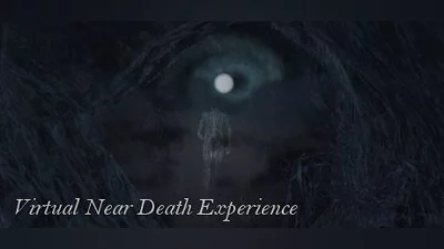 Virtual Near Death Experience