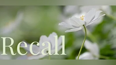 Recall