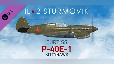 IL-2 Sturmovik: P-40E-1 Collector Plane