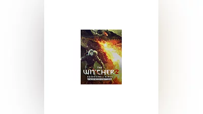 The Witcher 2: Assassins of King EE / GOG Key / GLOBAL