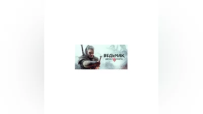 The Witcher 3 Wild Hunt GOTY / GOG Key / GLOBAL