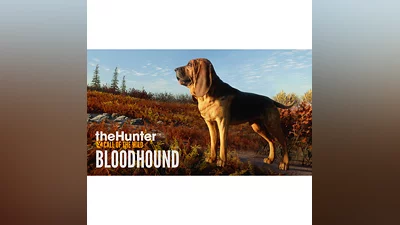 theHunter: Call of the Wild - Bloodhound   Steam