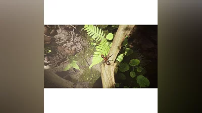 EMPIRE OF THE ANTS XBOX X|S КЛЮЧ СРАЗУ