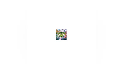 BATTLETOADS  STEAM  ВЕСЬ МИР  КЛЮЧ