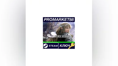 VALKYRIE ELYSIUM Steam КЛЮЧ   GLOBAL