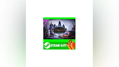 ️ Pillars of Eternity - The White March Part II STEAM