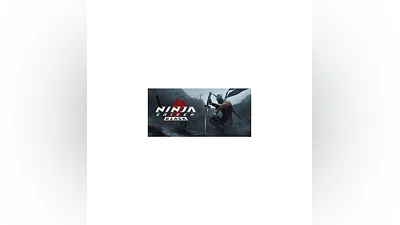 NINJA GAIDEN 2 Black steam МИР