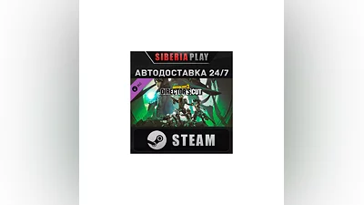 Borderlands 3: Director's Cut DLC*STEAM*RU/UA/KZ/СНГ