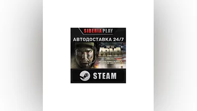 Arma 2: Combined Operations STEAM АВТО RU/UA/KZ/СНГ