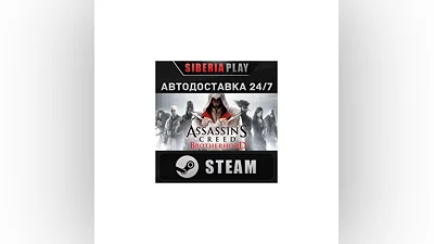 Assassin's Creed Brotherhood STEAM АВТО RU/UA/KZ/СНГ
