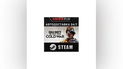 Call of Duty: Black Ops Cold War Standard Edition STEAM