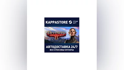 Divinity: Original Sin 2 - Divine Edition Steam RU