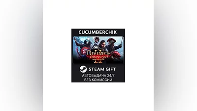 Divinity: Original Sin 2 STEAM GIFT AUTO RU+МИР