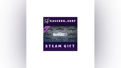 PAYDAY 2: McShay Weapon Pack 4 DLC RU*KZ*UA*CIS