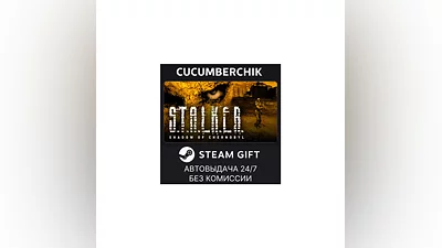 STALKER: Shadow of Chernobyl STEAM GIFT AUTO RU+МИР