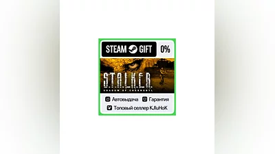 S.T.A.L.K.E.R.: Shadow of Chernobyl STEAM GIFT•RU ️АВТО
