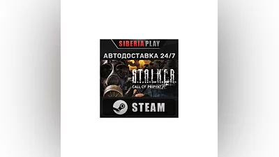 S.T.A.L.K.E.R.: Call of Pripyat STEAM АВТО RU/UA/KZ/СНГ