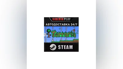 Terraria STEAM АВТО RU/UA/KZ/СНГ