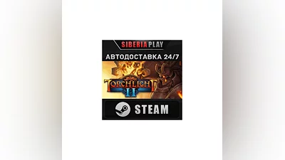Torchlight STEAM АВТО RU/UA/KZ/СНГ
