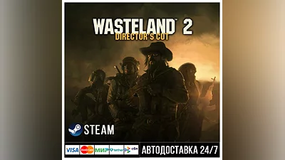 Wasteland 2: Director's Cut СТИМ Steam Gift