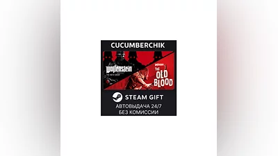 Wolfenstein: The Two Pack STEAM GIFT AUTO RU+МИР