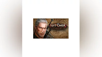 The Witcher Adventure Game Steam GIFT RU+CIS  0%