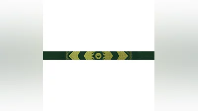 Destiny 2 - Emblem (Образ надежды) PC, PS, Xbox