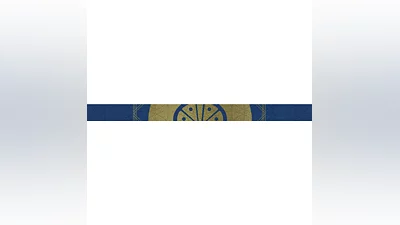 Destiny 2 - Emblem (Найденные в Городе) PC, PS, Xbox