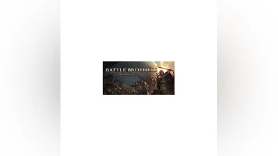 ️Battle Brothers | АВТОДОСТАВКА [Россия - Steam Gift]