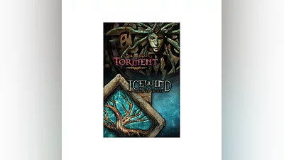 Planescape Torment and Icewind Dale Enhanced активация