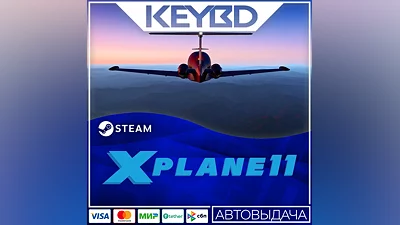 X-Plane 11 · Steam Gift АВТОДОСТАВКА 0%