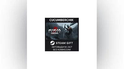 NINJA GAIDEN 2 Black STEAM GIFT AUTO RU+МИР