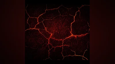 AVICII Invector Magma Track Pack