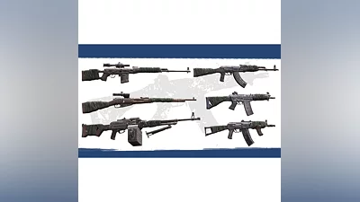 Insurgency Sandstorm  Rust  Wrap Weapon Skin Set