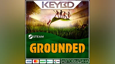 Grounded · Steam Gift RU · АВТОДОСТАВКА