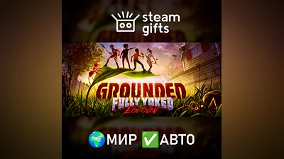 Grounded МИР АВТО